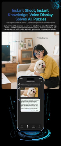 Person with a dog using a smartphone app in a living room setting.
